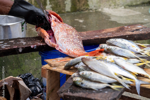 persona preparando pescado pargo rojo para la venta en mercado publico pacifico Colombiano photo