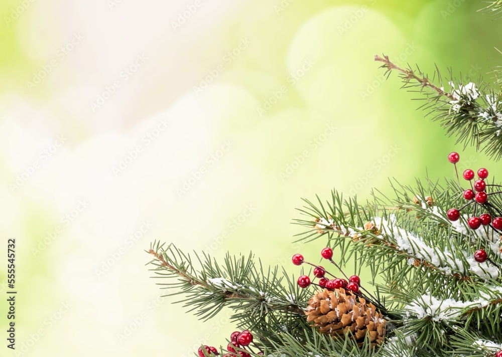 Beautiful holiday christmas background with tree