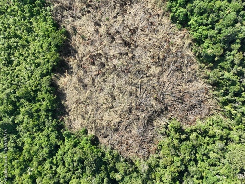 Deforestation in the Peruvian Amazon