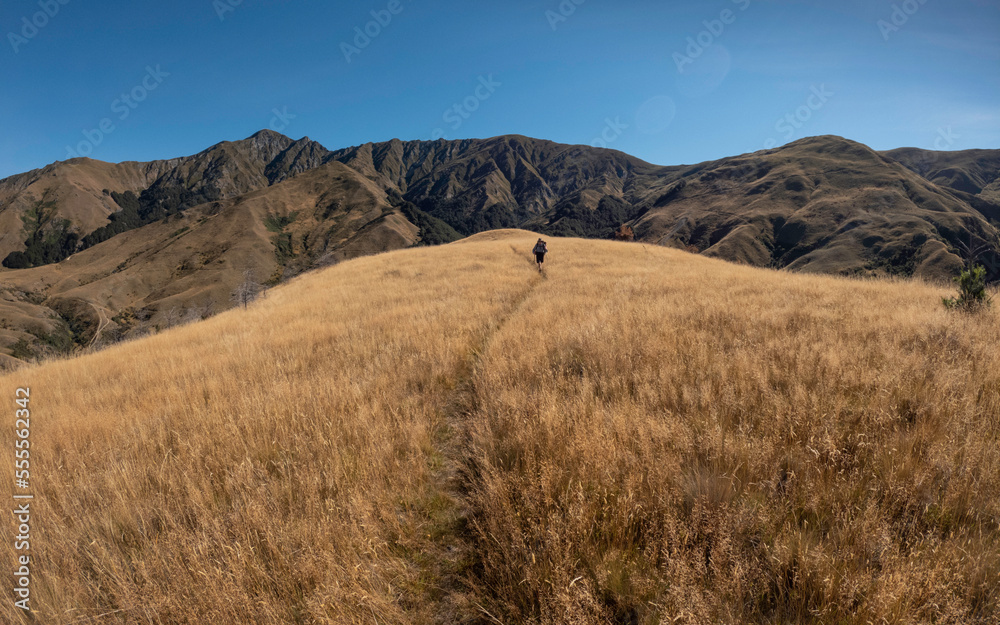 Hiking in New Zealand Hiking in New Zealand