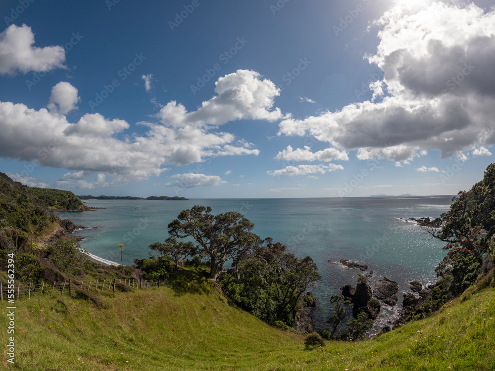 New Zealand Landscape of Pohutukawa trees and ocean