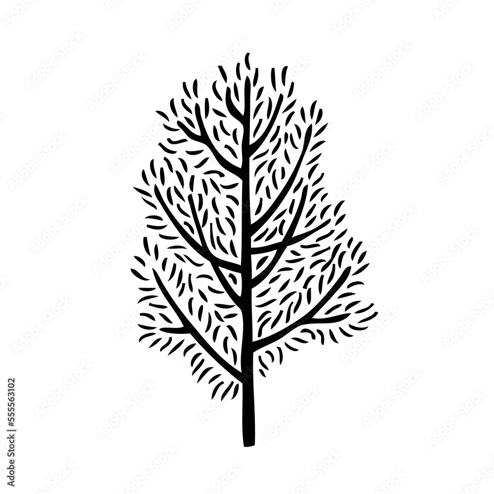 Obraz premium Black and white vector deciduous tree