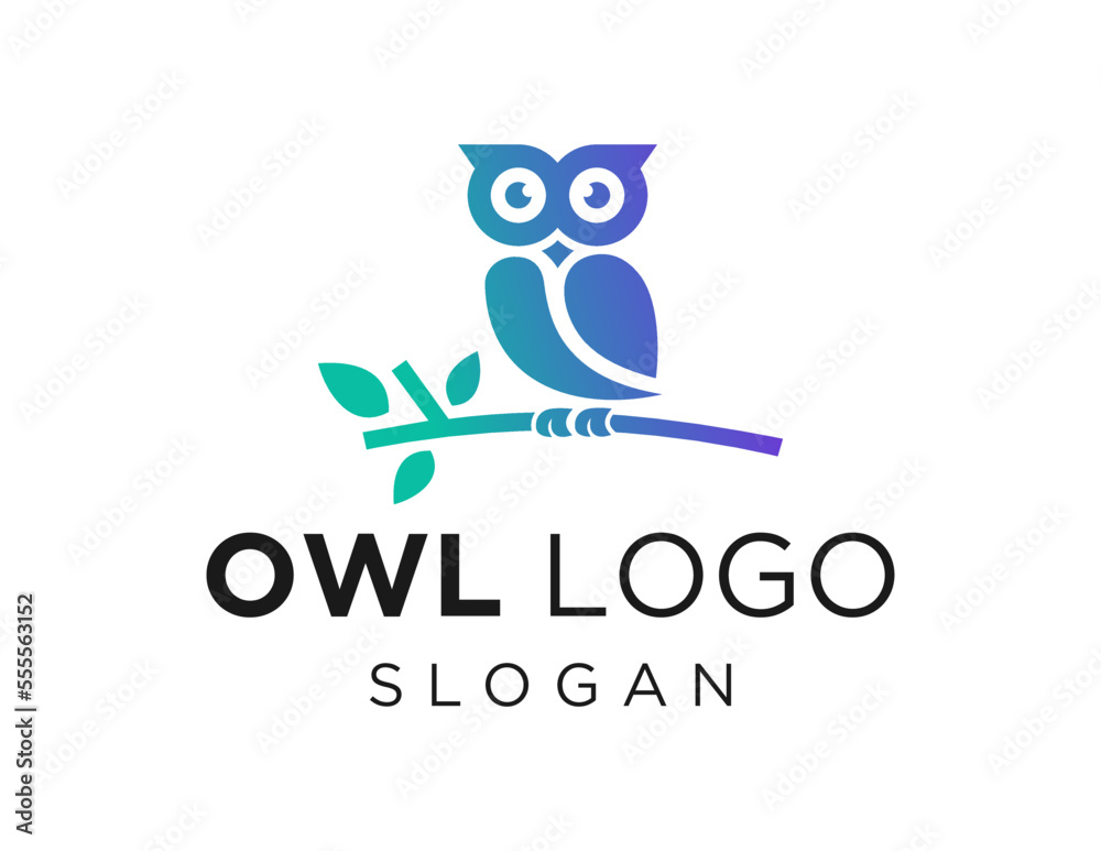 Logo design about Owl on a white background. made using the CorelDraw application.