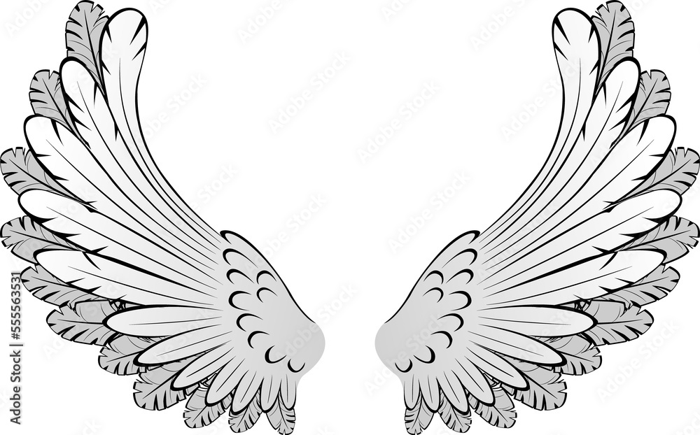 Fototapeta premium Eighth Stylized Wings