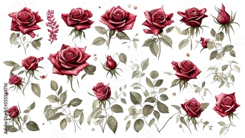 seamless background with roses