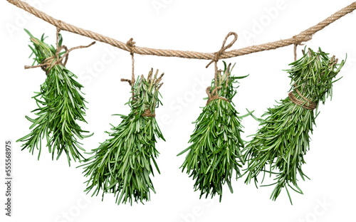 Fresh green bunch herbs collection hanging
