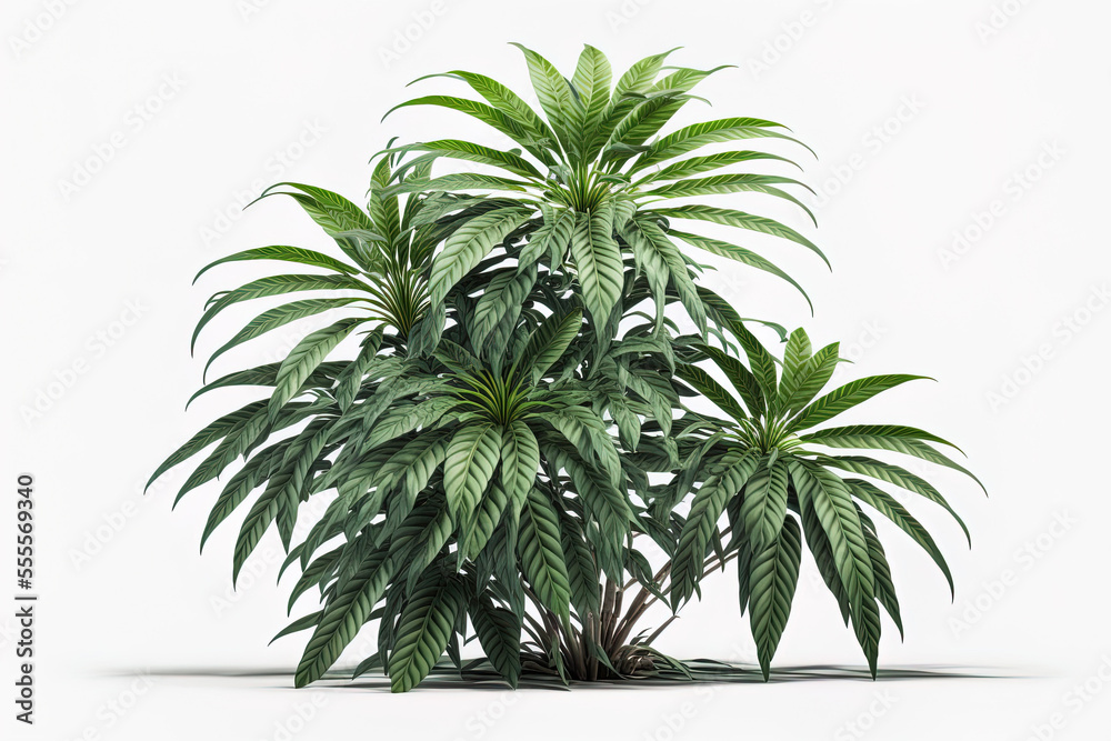 Fototapeta premium solitary natural jungle plant with clipping path on a white backdrop. Generative AI
