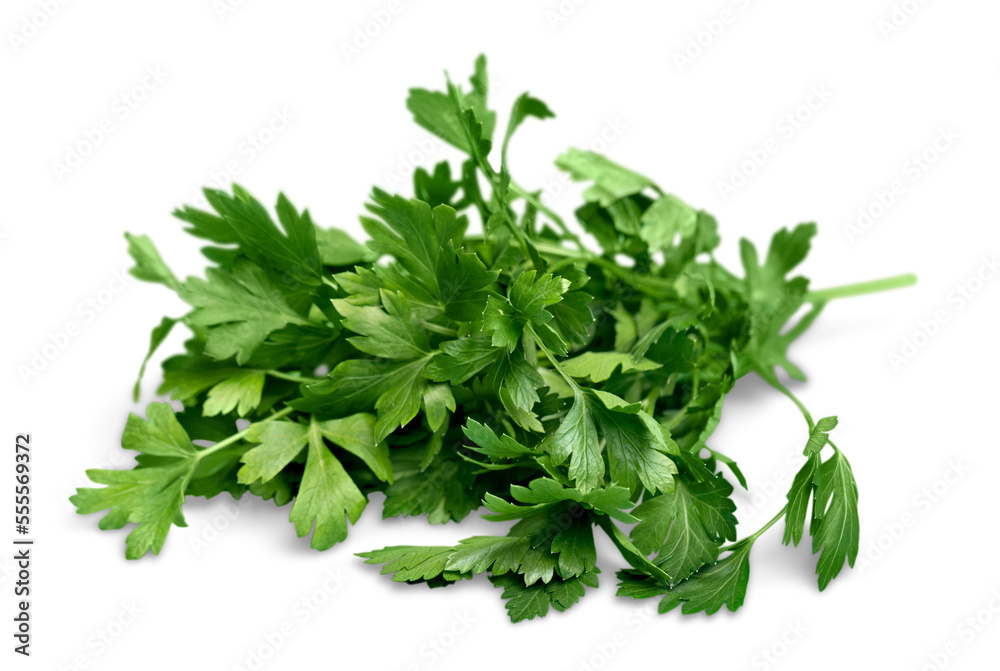 Fresh green bunch herbs collection Fresh green bunch herbs collection