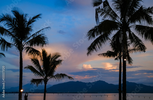 coconut trees at sunset, sunset on the beach, coconut trees on the beach, trees at sunset, trees at dusk. Banyuwangi, East Java. photo