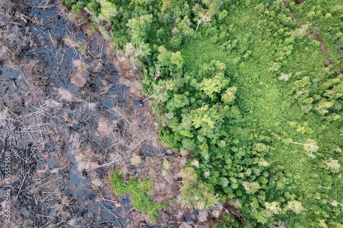 Burned peat forest in Borneo, Indonesia © Rhett Ayers Butler