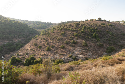 Panoramic  view from the top of the hill in Tel Yodfat National park, in northern Israel photo