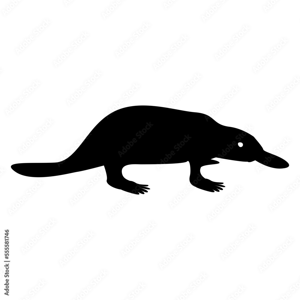 anteater silhouette