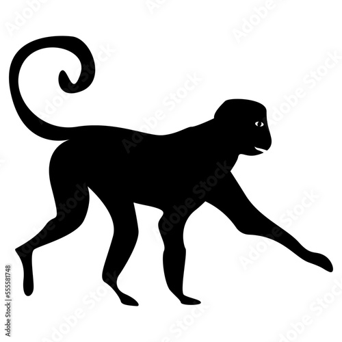 monkey silhouette