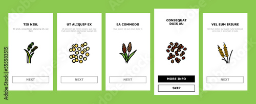 cereal plant healthy food onboarding mobile vector. breakfast bowl, milk corn, wheat grain, snack morning, organic meal, sweet cereal plant healthy food Illustration