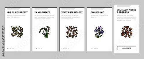 cereal plant healthy food onboarding mobile vector. breakfast bowl, milk corn, wheat grain, snack morning, organic meal, sweet cereal plant healthy food Illustration