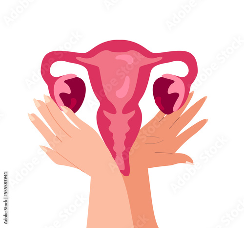 Hands Support Female Reproductive System Womb and Uterus.Care of Female Health.Help in Fertility.Women Ovaries,Vagina Symbol.Feminine Menopause Gynecology.Anatomical Female Organs.Vector illustration