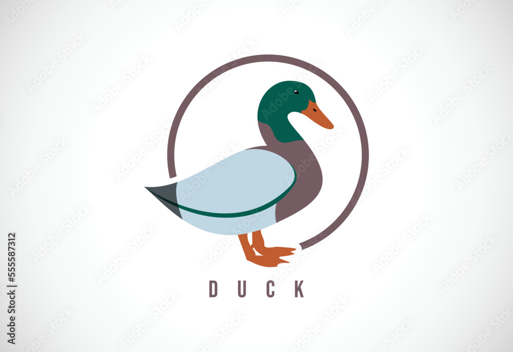 Fototapeta premium Duck in a circle. Duck logo design template vector illustration