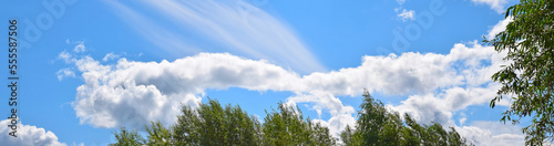 Cloudy landscape - blue sky and white clouds  trees with green foliage  panorama