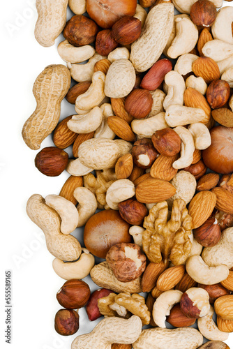 Nuts left side frame
