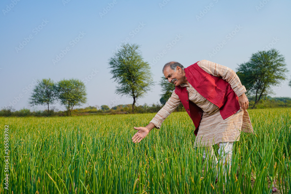 Indian farmer giving expression at onion agriculture field. Indian farmer giving expression at onion agriculture field.