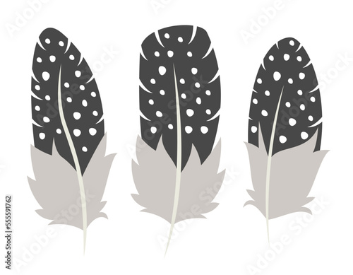 Set of guinea fowl feathers in flat style. Beautiful design elements.