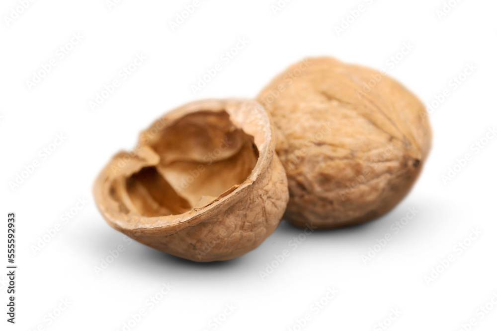 Fresh ripe tasty healthy Nut Walnut shell Fresh ripe tasty healthy Nut Walnut shell
