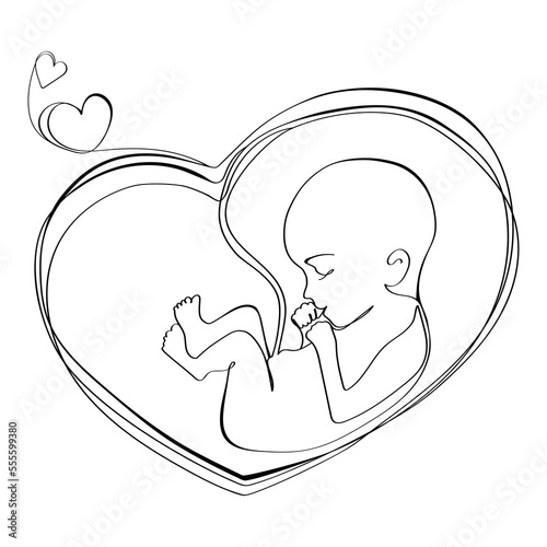 Baby in the womb heart shaped with umbilical cord Line drawing Logo,icon,tattoo,poster,print design template.Vector illustration Embryo in the womb liner drawing,black and white sketch