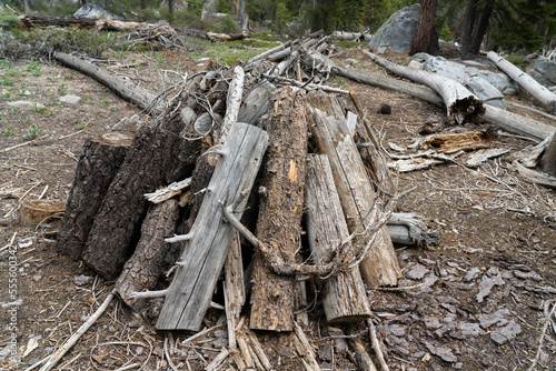 Wallpaper Mural Burn Pile in Sierra Nevada Forest for Fuel Reduction Treatment Torontodigital.ca