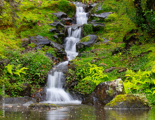 Kleiner Bach mit Wasserfall im botanischen Garten,Terra Nostra Park,Furnas,Insel Sao Miguel,Azoren,Portugal,