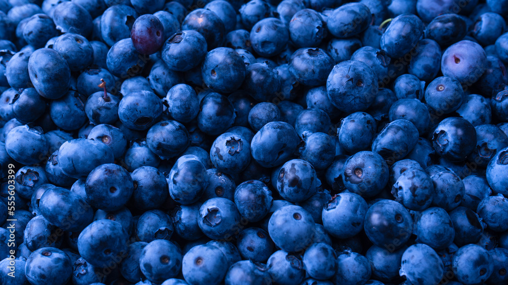 Fresh blueberry background. Texture blueberry berries close up. Fresh blueberry background. Texture blueberry berries close up.