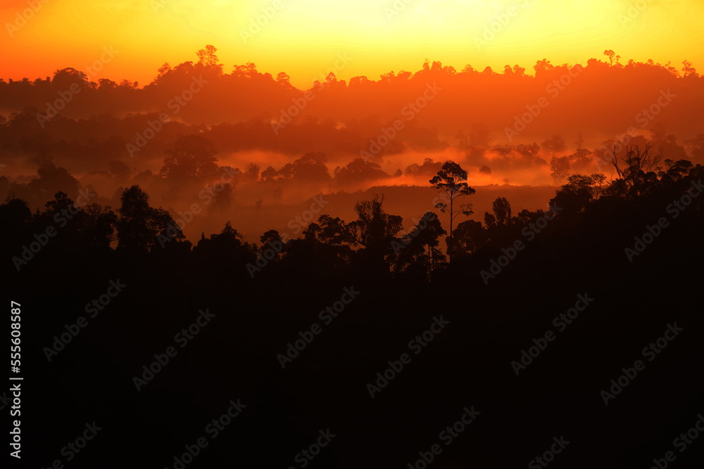 Sunrise over the rainforest in Borneo