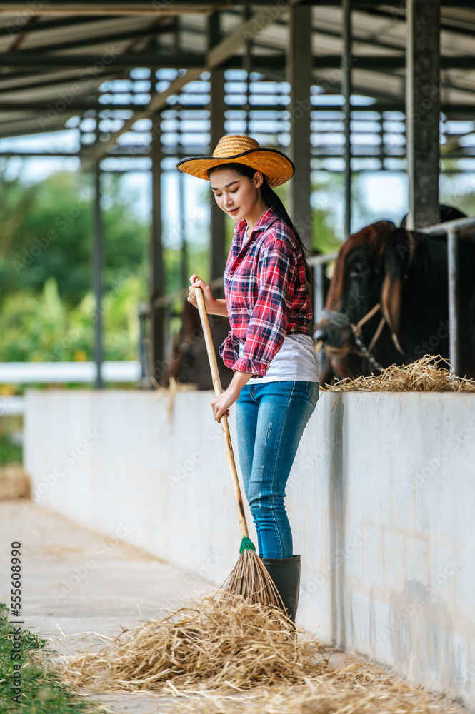 Portrait of Happy young Asian farmer woman sweeping floor at cow farm. Agriculture industry, farming, people, technology and animal husbandry concept. Portrait of Happy young Asian farmer woman sweeping floor at cow farm. Agriculture industry, farming, people, technology and animal husbandry concept.