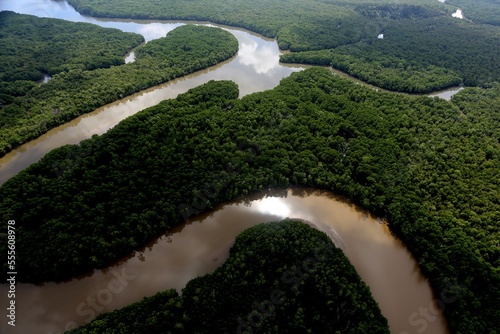 Lower Kinabatangan River