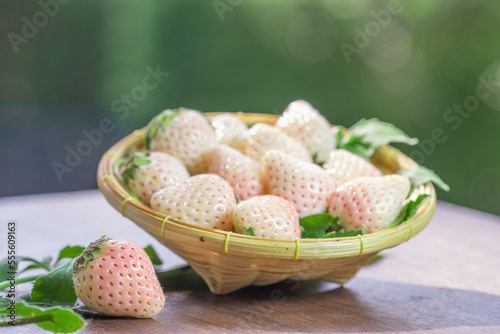 Pink snow strawberry in wooden basket on blurred greenery background, White and Pink snow Strawberries on wooden table in garden.