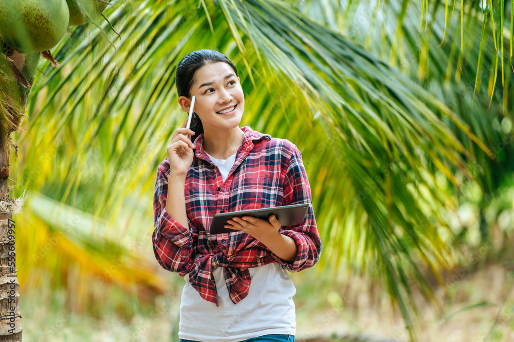 Portrait of Happy Asian young  farmer woman check quality of coconut in farm and thinking while standing and holding tablet. Agricultural and technology concepts.