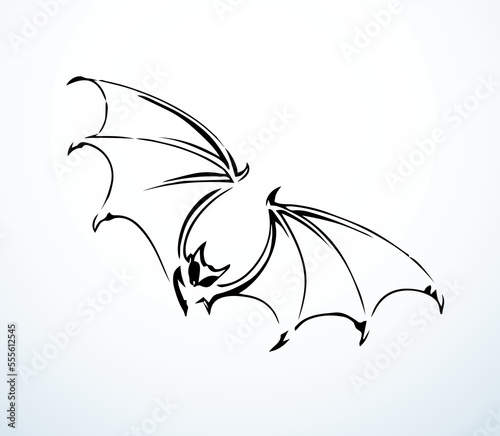The bat is flying. Vector drawing