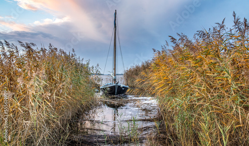 Fototapeta Naklejka Na Ścianę i Meble -  boot