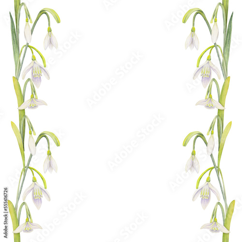 Fototapeta Naklejka Na Ścianę i Meble -  Watercolor hand drawn seamless border with spring flowers, daffodils, crocus, snowdrops. Isolated on white background. Design for invitations, wedding, greeting cards, wallpaper, print, textile