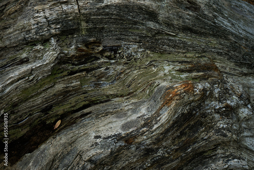 Versteinertes Holz © bernd_fuelle