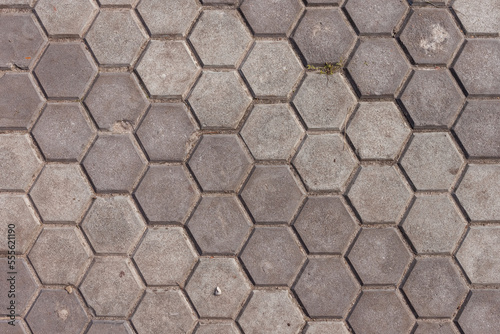 Texture of concrete paving stones in the form of honeycombs. Close-up Fragment. Top view. Background