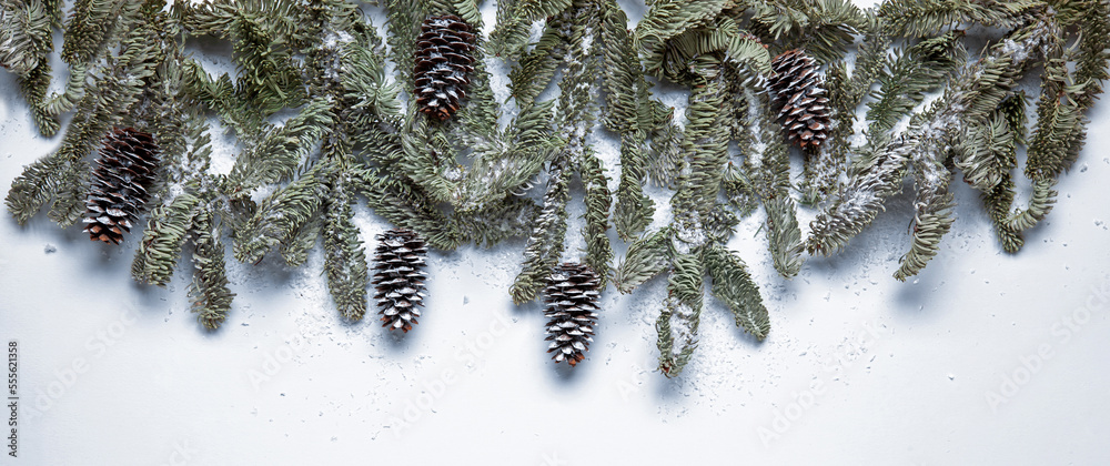Fir branches with cones on a light background. Christmas frame or Christmas frame, banner, or Christmas tree borders