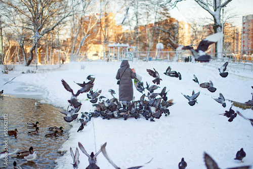 Feeding seagulls and pigeons on the lake in winter.