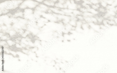 black and white background texture background wallpaper concept 3d render illustration abstract shadow tree sunset sunlight 