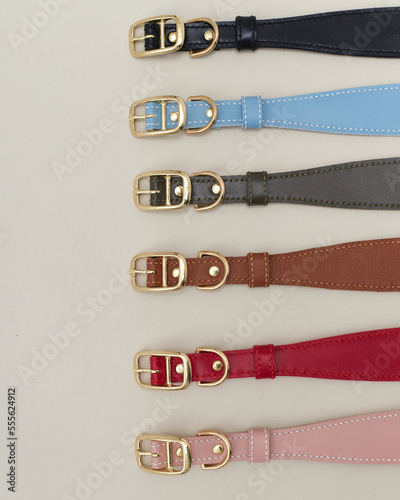 Collage isolated set of leather straps belts accessories collars leashes with rivets for dog pet