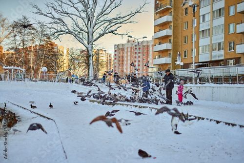 Feeding seagulls and pigeons on the lake in winter.