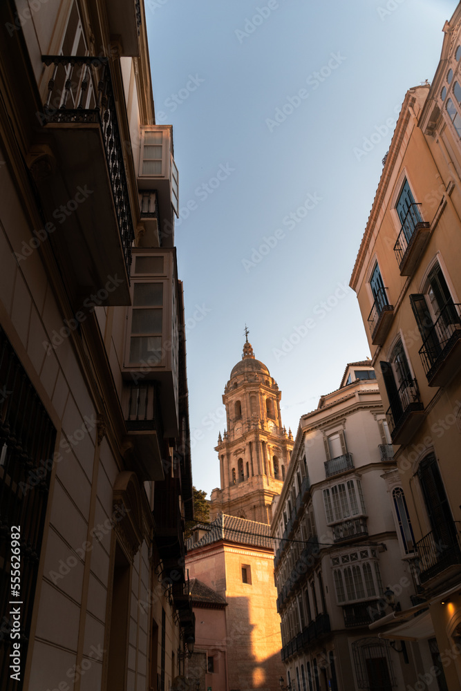 La Catedral de Málaga, joya de Andalucía y de España vista desde una de las principales calles  de Málaga.