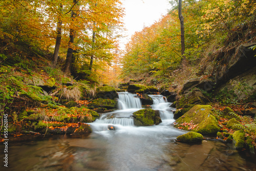 Bystra River with clear water and small waterfalls in an untouched landscape in the middle of an autumn mixed forest in red-orange colour. Celadna  Beskydy mountains  Czech republic