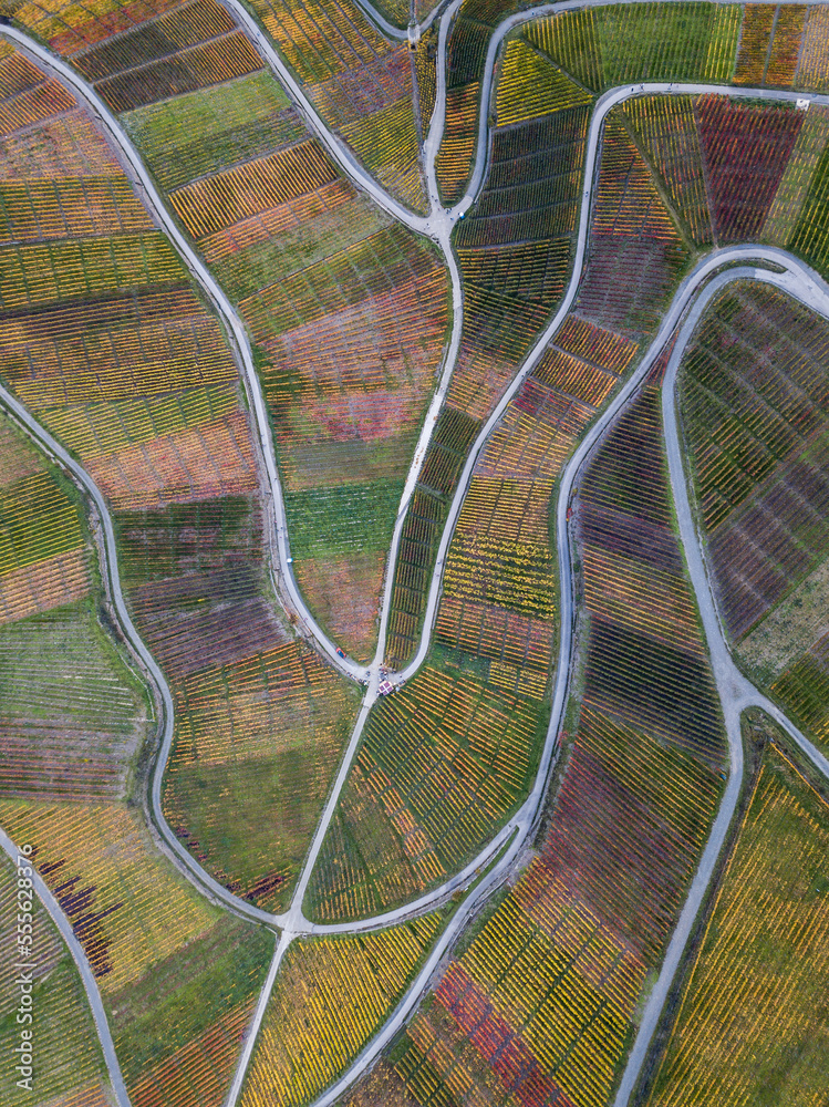 Aerial wineyard Aerial wineyard