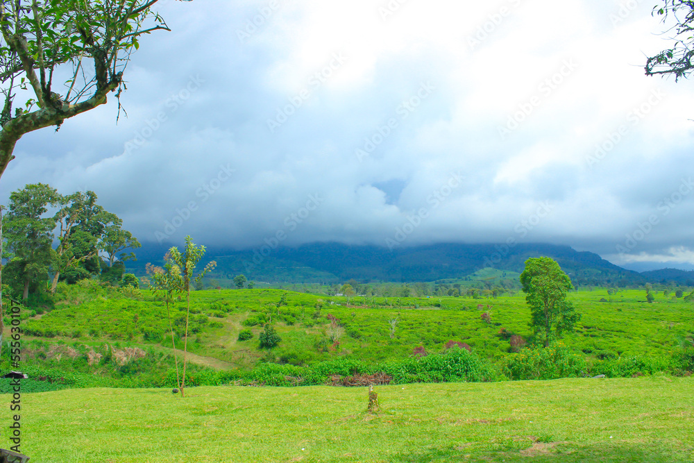 Grassy Field and Rolling Hills. Rural Scenery. Idyllic Mountain Landscape with Blue Sky and White Clouds