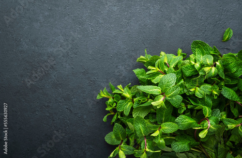 Fresh mint or peppermint on dark background. Medicinal plant, close-up, top view